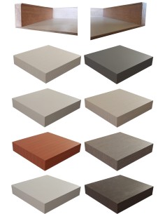 Chameleon Cover per...