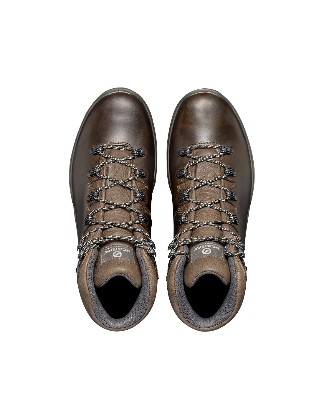 Scarpa Terra gtx brown