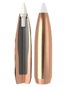 Palle Nosler accubond .30 /... 2