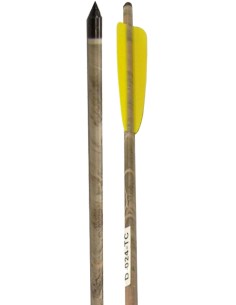 Ek Archery dardo in... 2