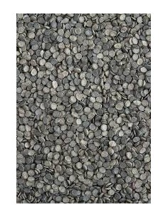 Polvere Maxam CSB2 0,5 Kg 2