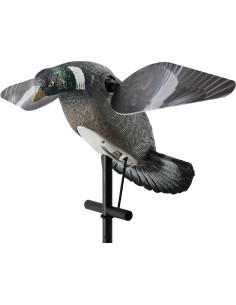 Stampo colombaccio ali...