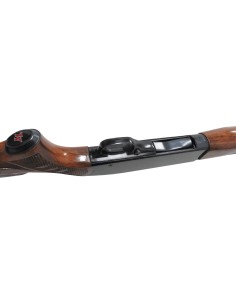 Winchester fucile... 2