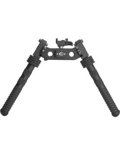 ROME Bipiede Caliga Maximo... 2