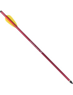 Ek Archery dardo in...