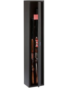 Armadio a cassa forte...