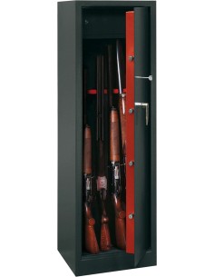 Armadio a cassa forte...