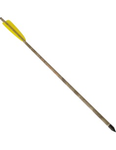 Ek Archery dardo in...