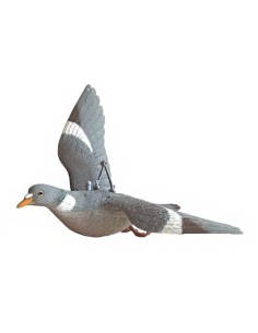 Stampo colombaccio ali aperte 2