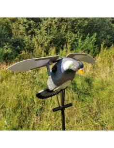 Stampo colombaccio ali... 2