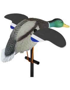 Stampo germano reale... 2