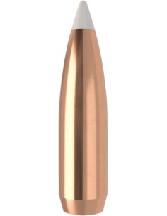 Palle Nosler Accubond .30 /... 2
