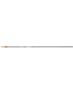 Freccia in carbonio per... 2