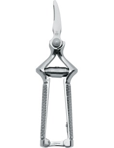 Due Cigni - masticatore...