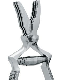 Due Cigni - masticatore... 2