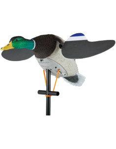 Stampo germano reale...