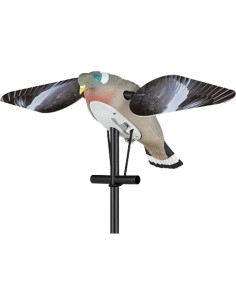 Stampo colombaccio ali...