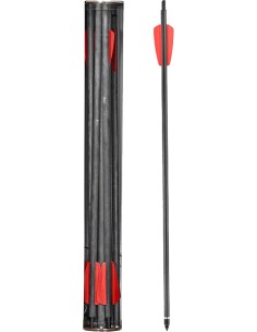 Set 10 frecce in carbonio... 2