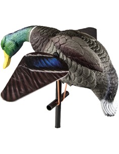 Stampo germano reale Lucky...