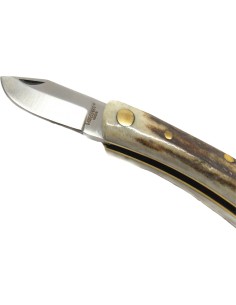 Coltello Virginia manico... 2