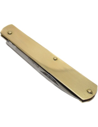 10 COLTELLI ORO Plastica 17,1 cm 
