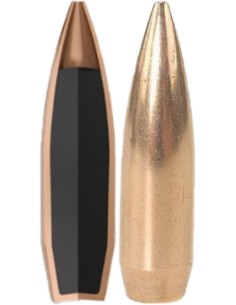 Palle Nosler Competion .30... 2