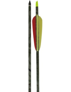 Freccia in carbonio...