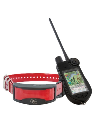 Palmare Sport Dog TEK 2.0 + Collare...