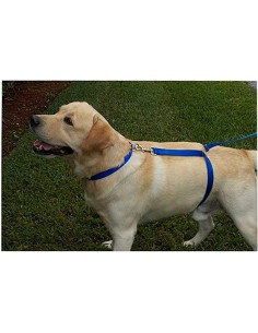 Guinzaglio in cordura per... 2