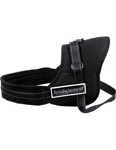 Pettorina Sport Dog con patch removibile
