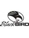 Blackbird